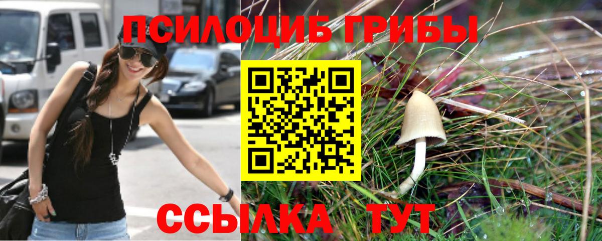 Галлюциногенные грибы мицелий  Вход с VPN  Аша 