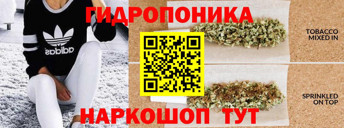 Бошки Шишки MAZAR Аша